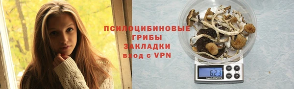 амф Володарск