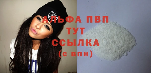 прущие грибы Вязники