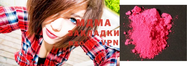 прущие грибы Вязники