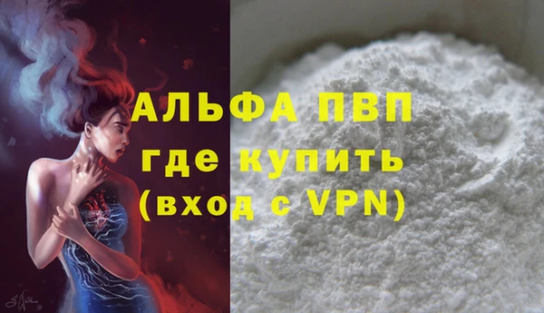 прущие грибы Вязники