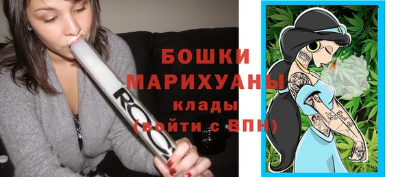 прущие грибы Вязники