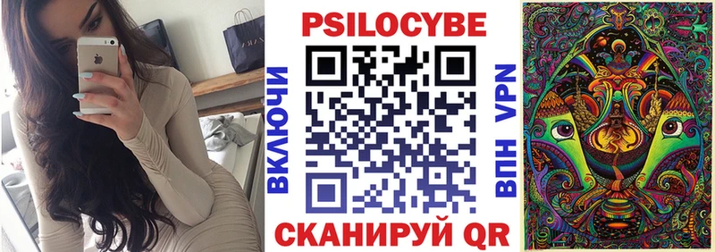 Галлюциногенные грибы Psilocybe  KRAKEN tor  Якутск 